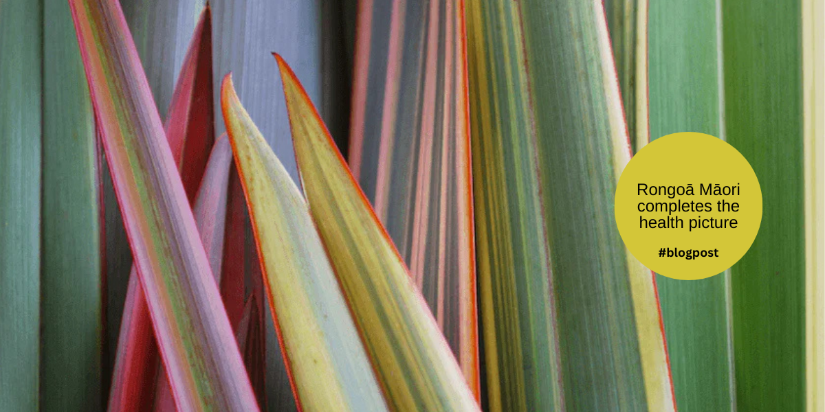 Rongoā Māori: Completing the Picture of Health