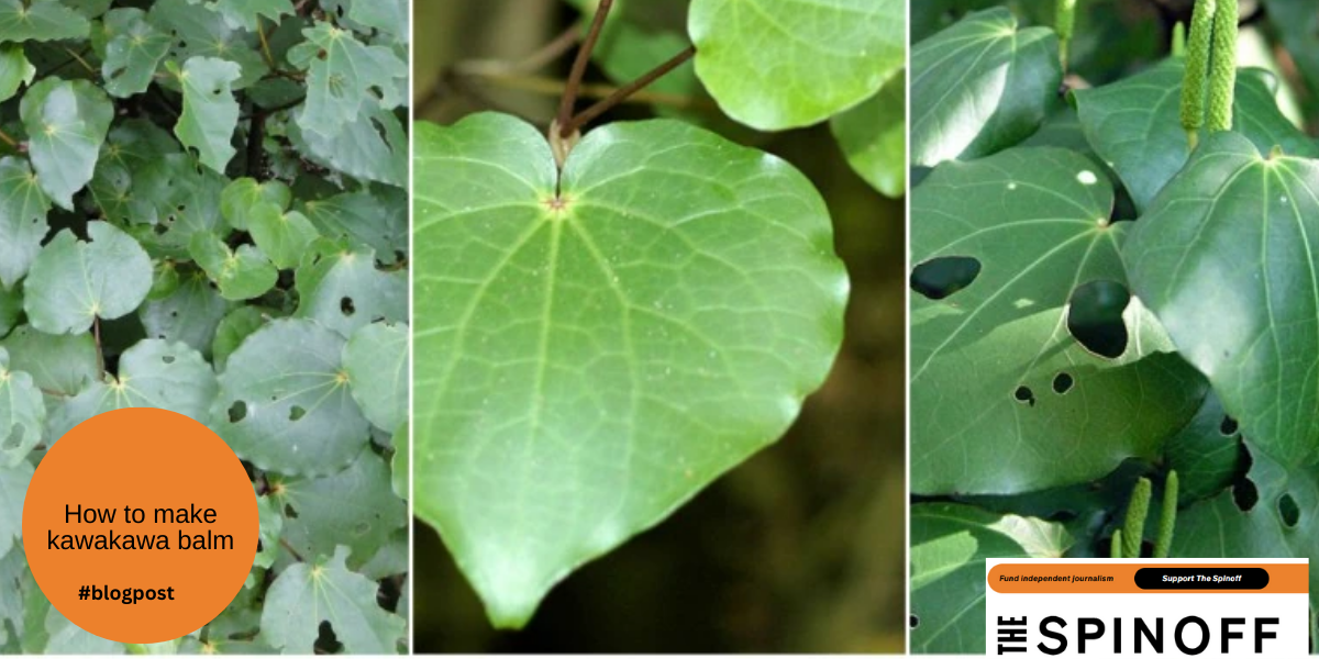 How to make kawakawa balm