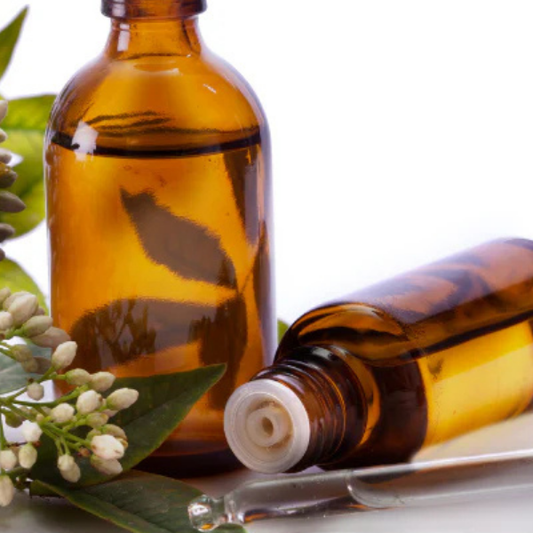 Exploring the Wisdom of Nature: A Journey into "Rongoā Rākau – Māori Herbal Medicine"