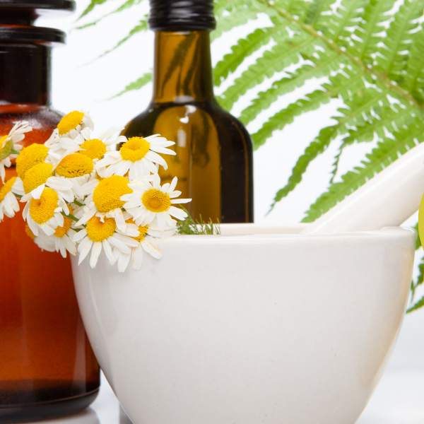 Journey into Traditional Healing with Rongoā Māori